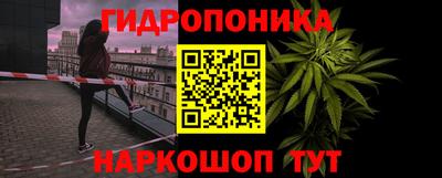 ГАЛЛЮЦИНОГЕННЫЕ ГРИБЫ Сланцы