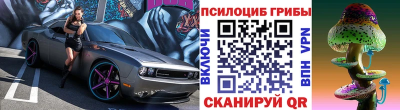 купить наркотики сайты  Ревда  Галлюциногенные грибы Psilocybe 