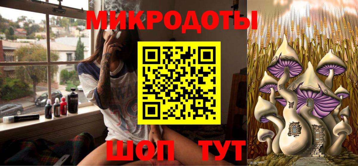Галлюциногенные грибы Psilocybe Ревда
