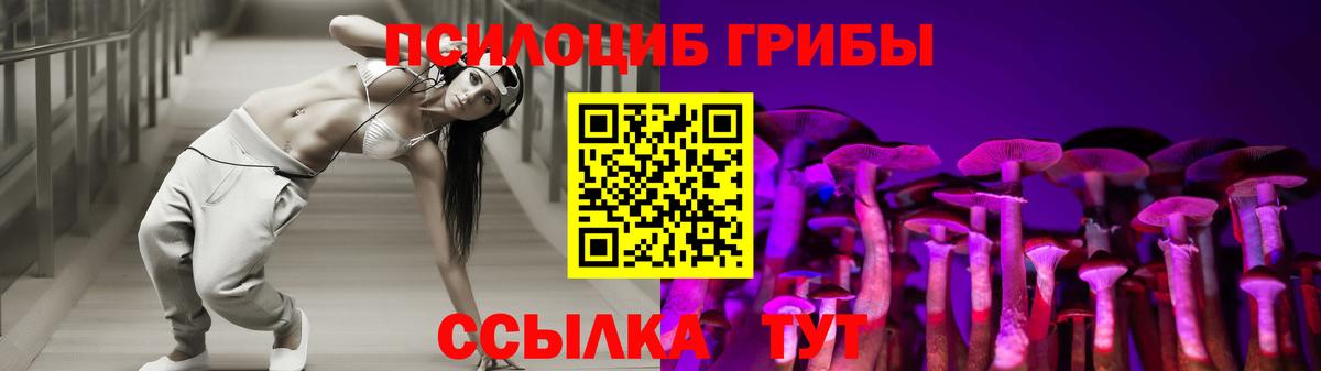 где можно купить наркотик  Вход с VPN  Ревда  Псилоцибиновые грибы мицелий 